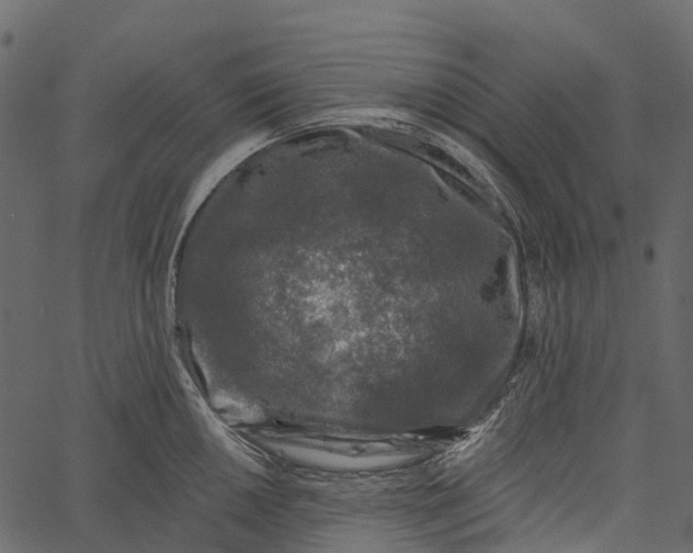 X0000062641050200601111121