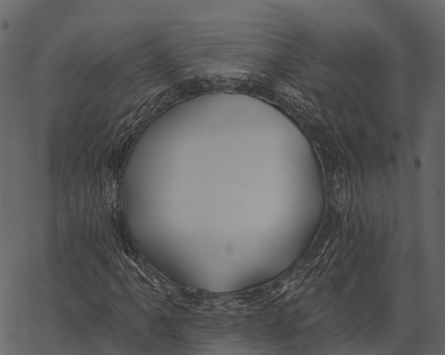 X0000062641061200601111120