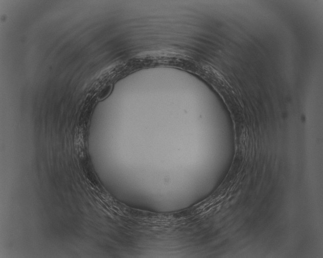 X0000062641062200601111120