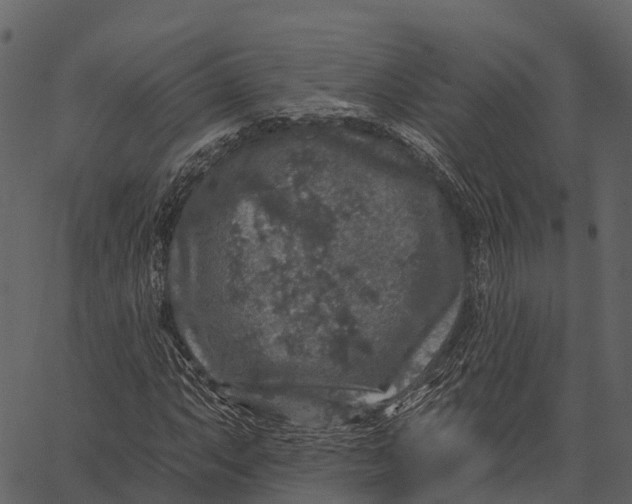 X0000062641063200601111120