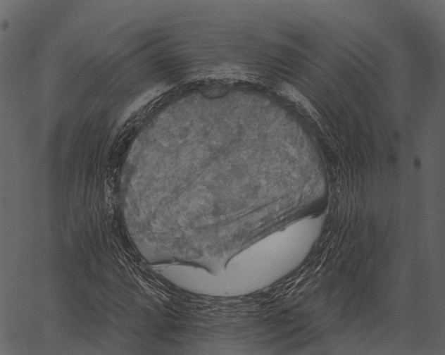 X0000062641064200601111120