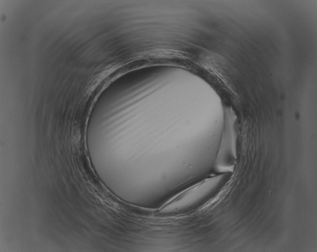 X0000062641065200601111120