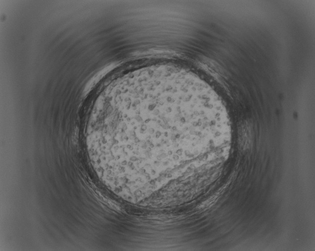 X0000062641066200601111120