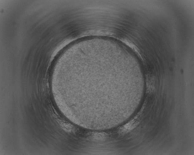 X0000062641070200601111120