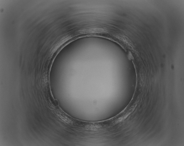 X0000062641073200601111120