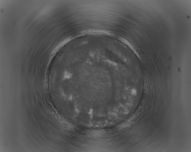 X0000062641074200601111120