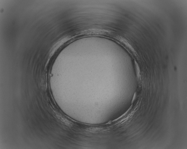 X0000062641075200601111120