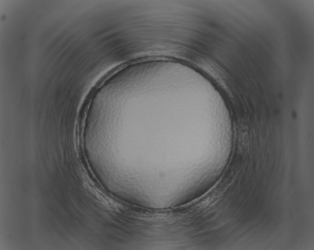 X0000062641076200601111120