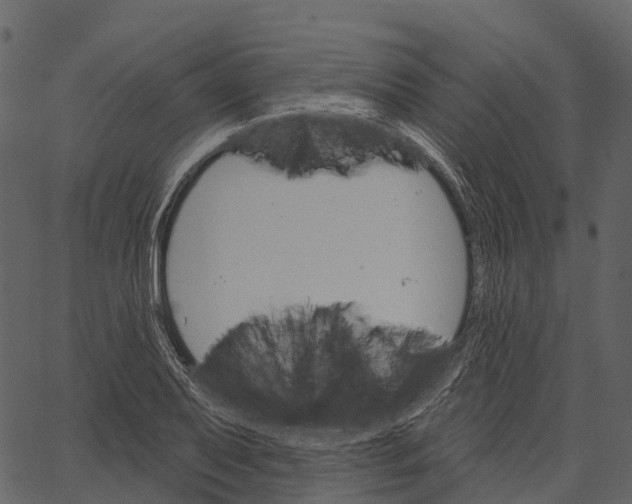 X0000062641079200601111120