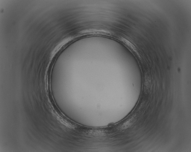 X0000062641082200601111119