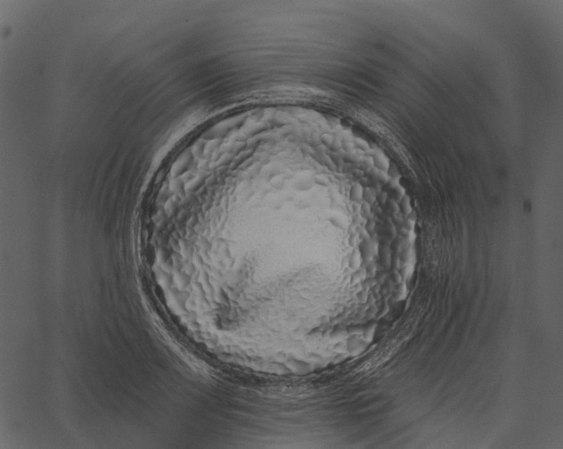 X0000062641083200601111119