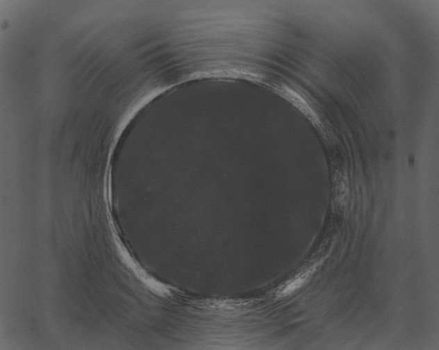 X0000062641084200601111119