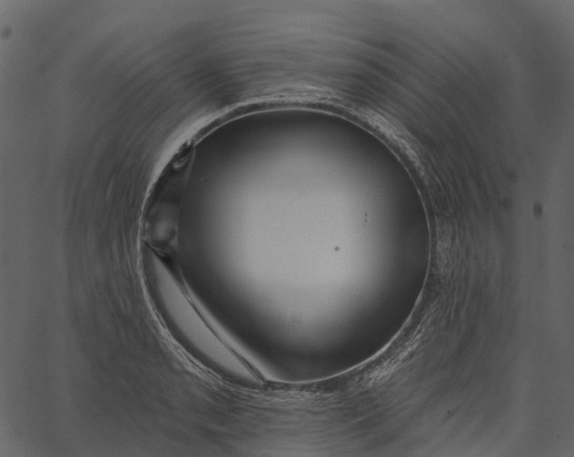 X0000062641085200601111119