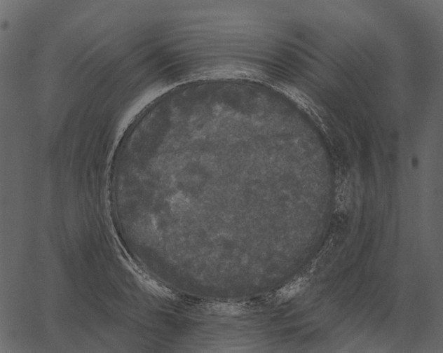 X0000062641086200601111119