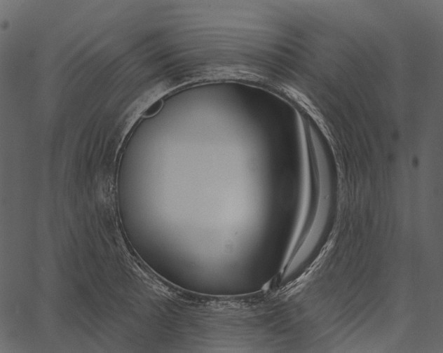 X0000062641089200601111119