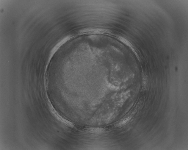 X0000062641090200601111119