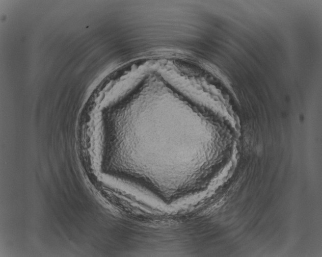 X0000062641091200601111119