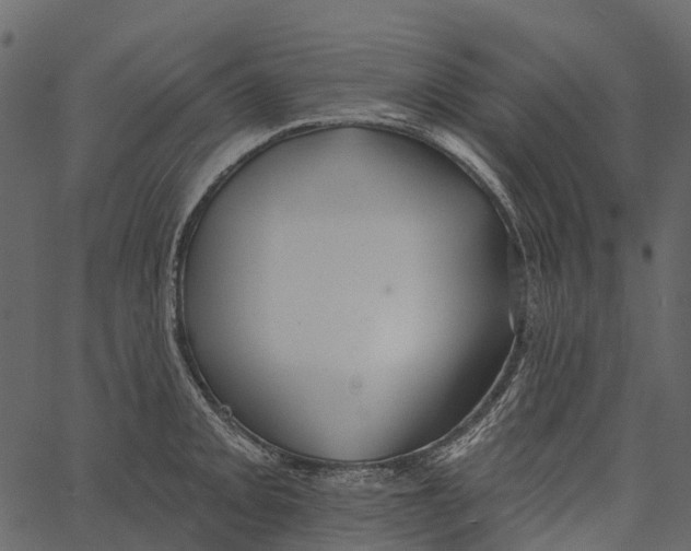 X0000062641093200601111119