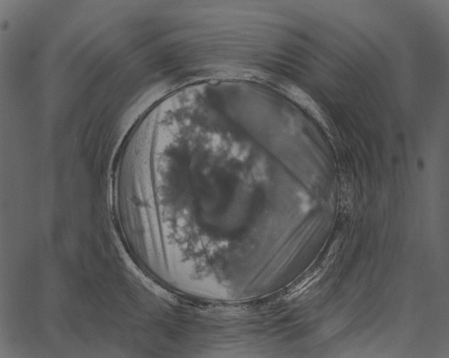 X0000062641095200601111119