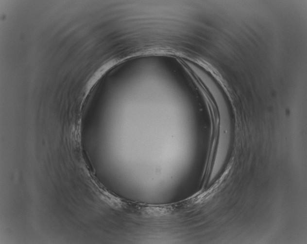 X0000062641097200601111119