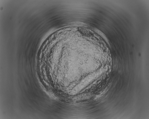 X0000062641099200601111119