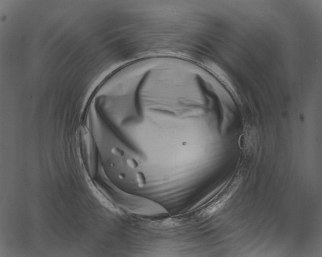 X0000062641100200601111119