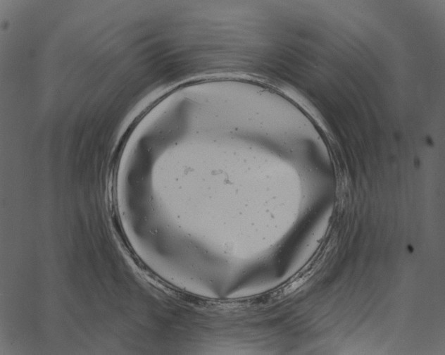 X0000062641101200601111119