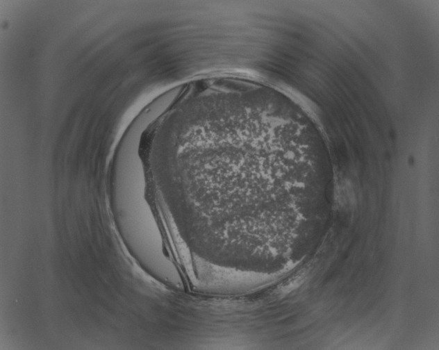 X0000062641102200601111119