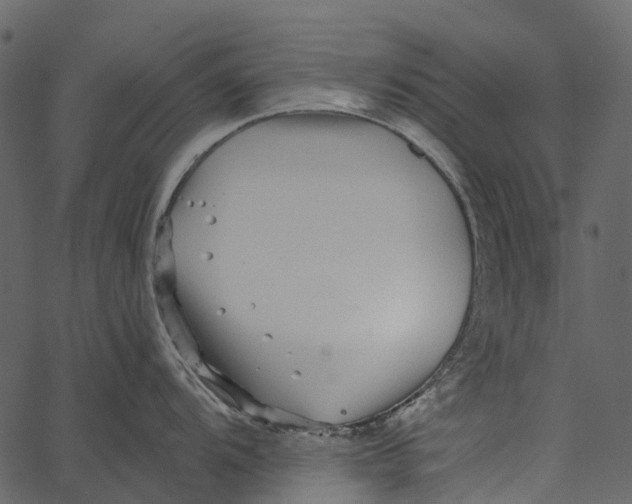 X0000062641104200601111119