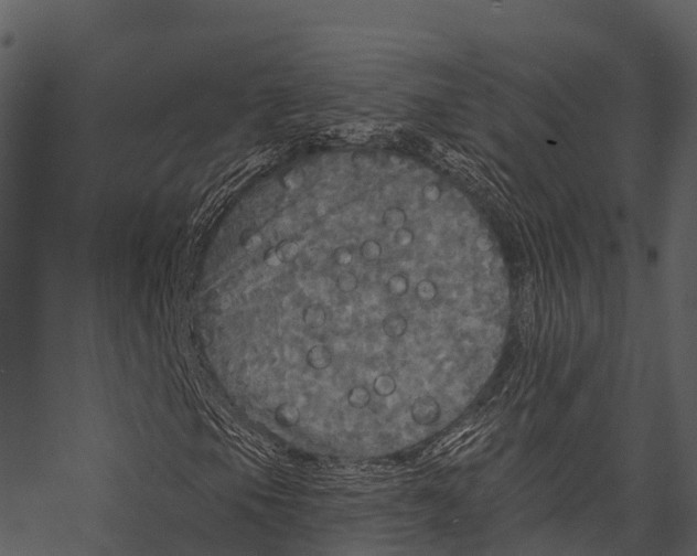 X0000062641105200601111118