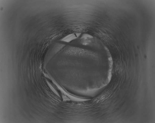 X0000062641106200601111118