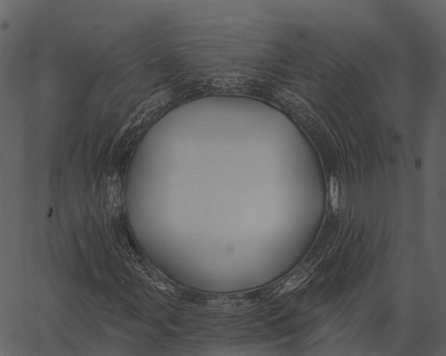 X0000062641107200601111118