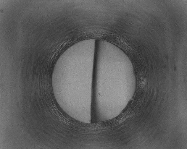 X0000062641108200601111118