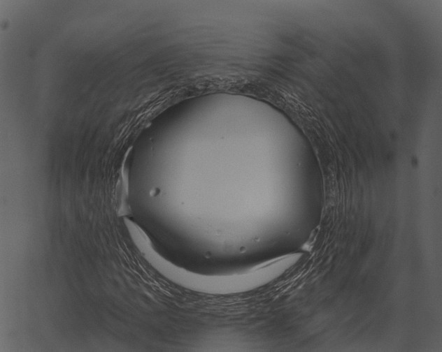 X0000062641109200601111118