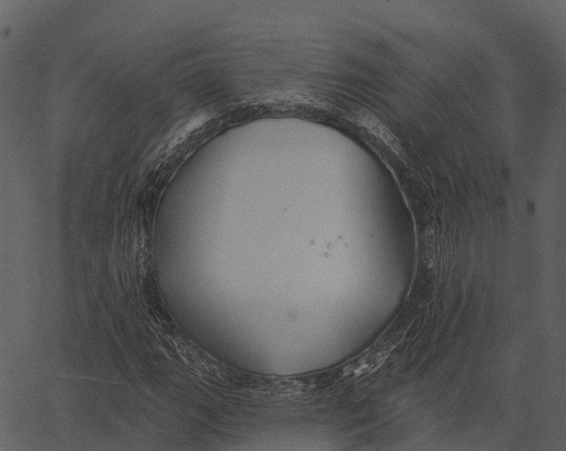 X0000062641111200601111118