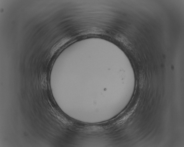 X0000062641113200601111118