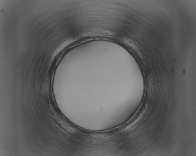 X0000062641114200601111118