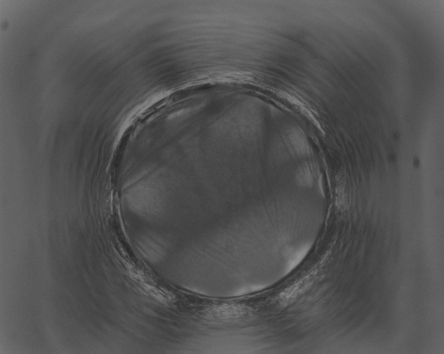 X0000062641117200601111119