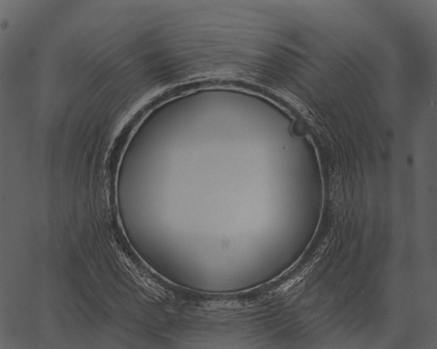 X0000062641118200601111119