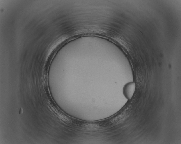 X0000062641119200601111119