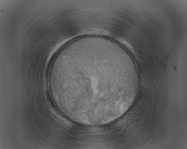 X0000062641120200601111119