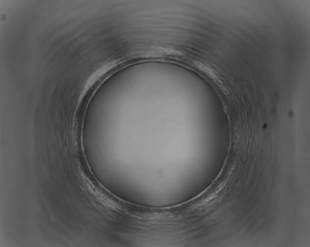 X0000062641122200601111119