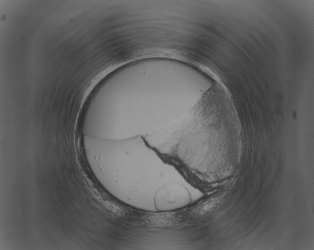 X0000062641125200601111119