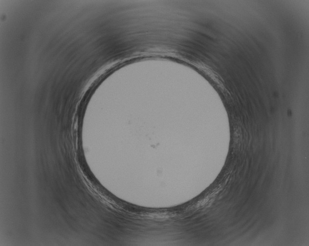 X0000062641126200601111119