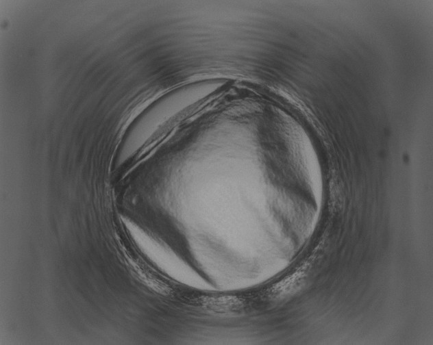 X0000062641129200601111119