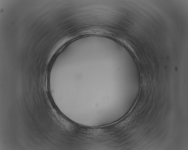 X0000062641131200601111119