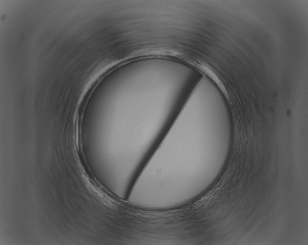 X0000062641132200601111119