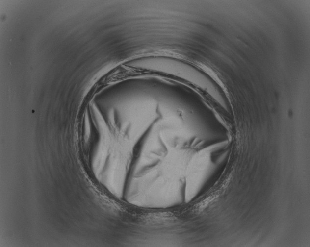 X0000062641133200601111119