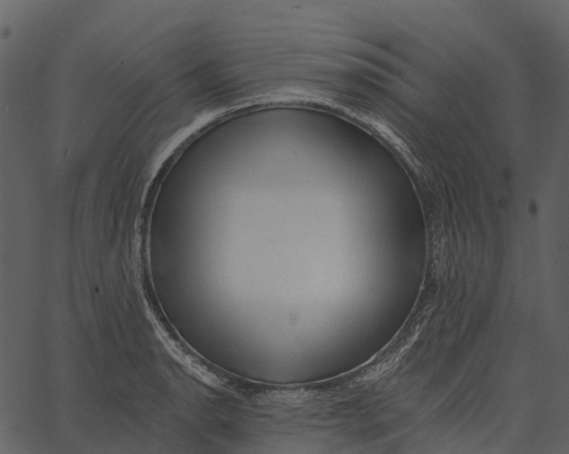 X0000062641134200601111119