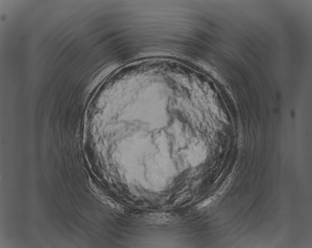 X0000062641137200601111119